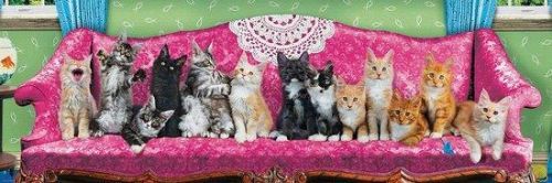 EUROGRAPHICS Panoramatické puzzle Kočky na kočičí pohovce 1000 dílků