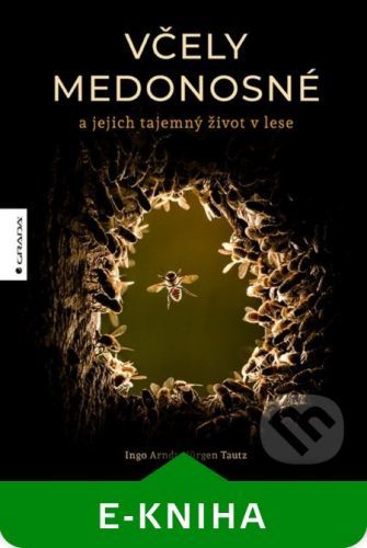 Včely medonosné - Ingo Arndt, Jürgen Tautz