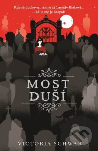 Most duší - Victoria Schwab