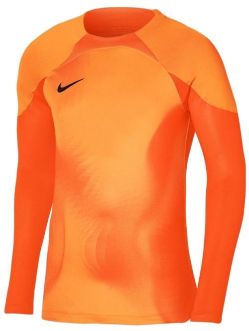 Dres Nike  Gardien IV