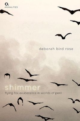 Shimmer - Flying Fox Exuberance in Worlds of Peril (Rose Deborah Bird)(Paperback / softback)