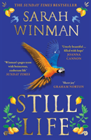 Still Life (Winman Sarah)(Paperback / softback)