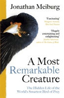 Most Remarkable Creature - The Hidden Life of the World's Smartest Bird of Prey (Meiburg Jonathan)(Paperback / softback)