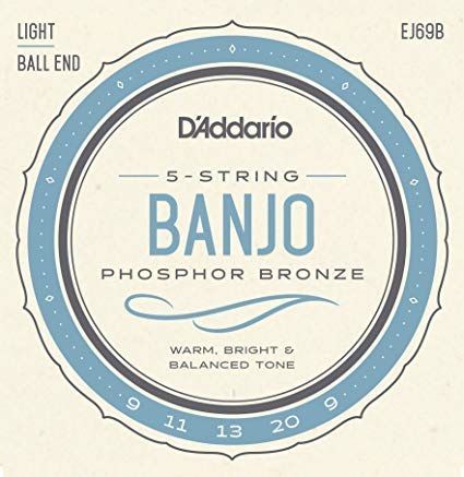 D'Addario EJ69B