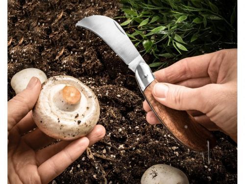 Zahradní a houbařský nůž srpkovitého tvaru