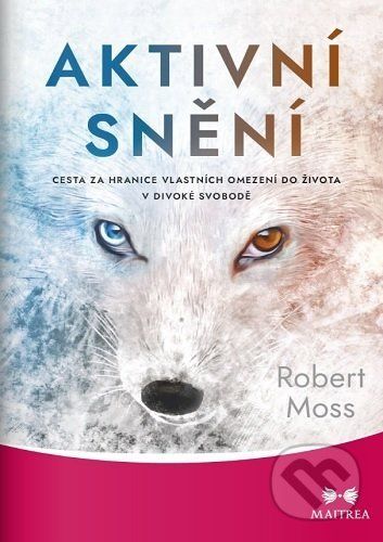 Aktivní snění - Robert Moss