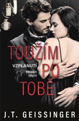 Toužím po tobě - J. T. Geissinger