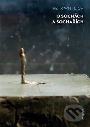 O sochách a sochařích - Petr Wittlich