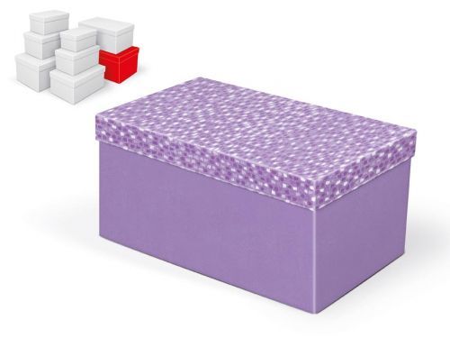 MFP 5370879 Krabice dárková B-C005-H 30x19x15cm