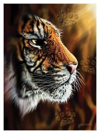 ANATOLIAN Puzzle Divoký tygr 1000 dílků