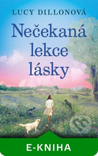 Nečekaná lekce lásky - Lucy Dillon