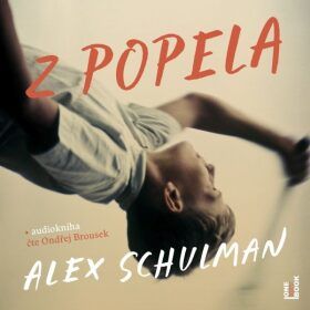 Z popela - Schulman Alex - audiokniha