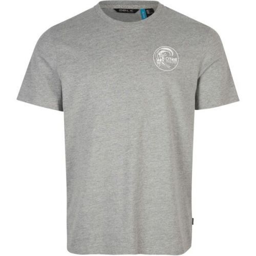 O'Neill CIRCLE SURFER T-SHIRT Pánské tričko, Šedá, velikost XL