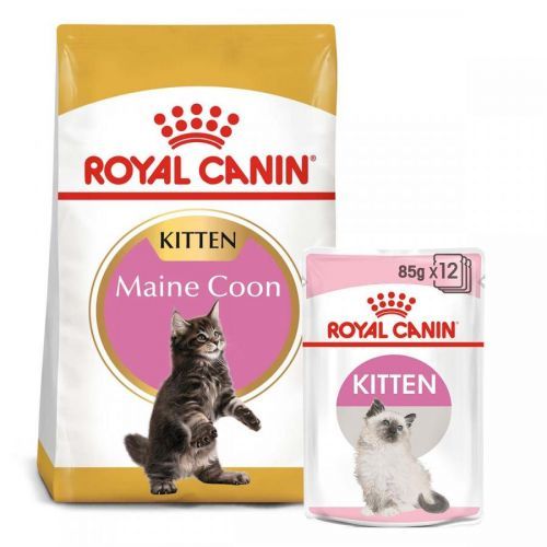 ROYAL CANIN KITTEN Maine Coon 4 kg + Kitten v omáčce 12× 85 g