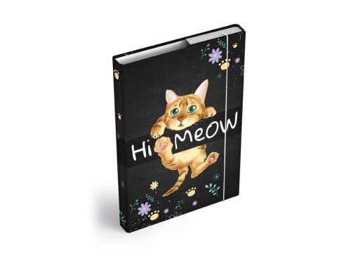 MFP 8020980 Desky na sešity box A4 Kočka