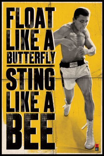 PYRAMID INTERNATIONAL Plakát, Obraz - Muhammad Ali - vznášet se jako motýl, (61 x 91.5 cm)