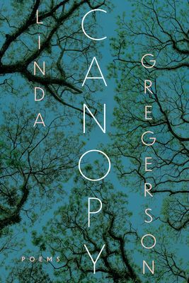 Canopy - Poems (Gregerson Linda)(Paperback / softback)
