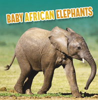 Baby African Elephants (Rustad Martha E. H.)(Pevná vazba)