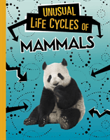 Unusual Life Cycles of Mammals (Jaycox Jaclyn)(Pevná vazba)