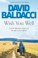Wish You Well (Baldacci David)(Paperback / softback)