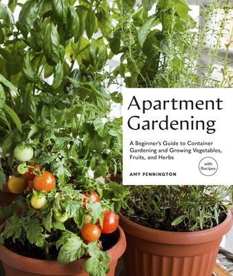 Tiny Space Gardening - Growing Vegetables, Fruits, and Herbs in Small Outdoor Spaces (with Recipes) (Pennington Amy)(Paperback / softback)