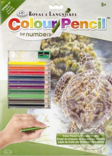Maľovanie podľa čísiel Pastelkami - Morská korytnačka