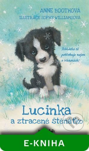 Lucinka a ztracené štěňátko - Anne Booth, Sophy Williams (Ilustrátor)