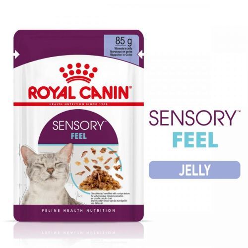 Royal Canin Sensory Feel v želé - 24 x 85 g