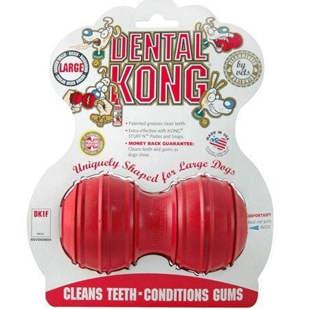 KONG Dental L