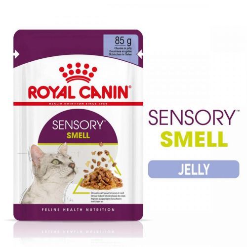 Royal Canin Sensory Smell želé 48 × 85 g