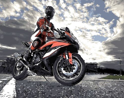 MALUJEŠ Malování podle čísel - NA MOTORCE Rozměr: 80x100 cm, Rámování: vypnuté plátno na rám