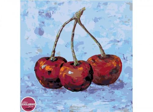 MALUJEŠ Malování podle čísel - OBRAZY OD IRENY - TŘEŠNĚ Rozměr: 80x80 cm, Rámování: bez rámu a bez vypnutí plátna