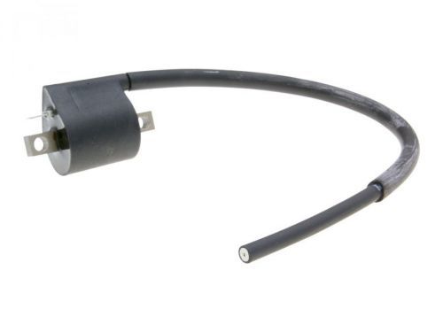 Cívka zapalování Polini digital, Piaggio LC, Minarelli AC, LC, AM6, Derbi D50B0, EBE, EBS, Vespa 125 ET3 171.0640