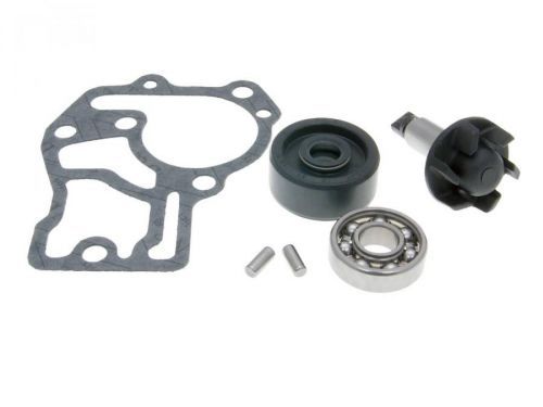 Diverse / Import Sada vodní pumpy Minarelli 50cc LC 4T 34180