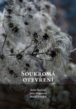 Soukromá otevření - Iveta Havlová, Jana Gregorová, Marek Schejbal