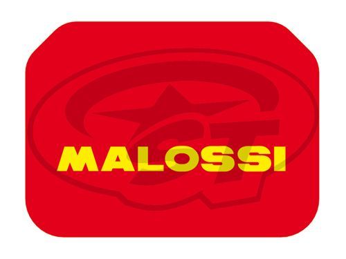 Vložka vzduchového filtru Malossi Red Sponge, Burgman AN 400 M.1412432