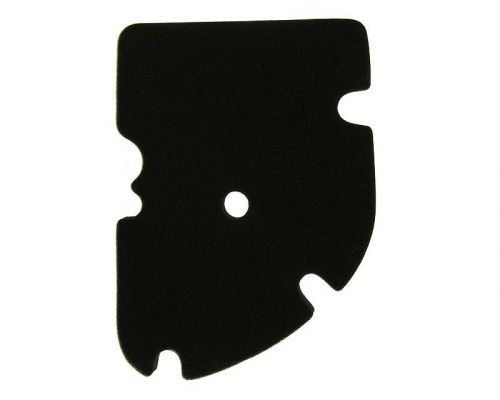 101 Octane Vložka vzduchového filtru Piaggio MP3, X8, X9, Vespa GT, GTS VC25754