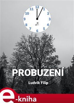 Probuzení - Ludvík Filip