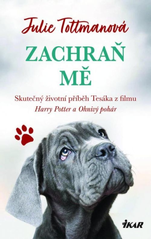 Zachraň mě - Julie Tottmanová