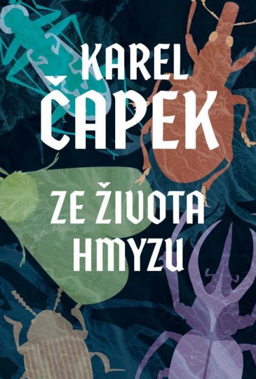 Ze života hmyzu - Josef Čapek