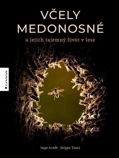 Včely medonosné a jejich tajemný život v lese - Jürgen Tautz