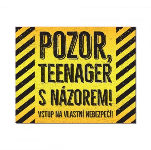 ALBI Cedulka na dveře - Teenager s názorem - Albi