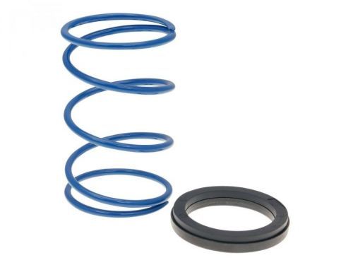 Kontrastní pružina Polini s podložkou Evo-Slider -30%, Piaggio P.18925