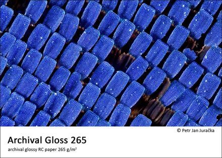 Fomei Archival Gloss 265 A4 (21,0 × 29,7 cm) / 50 listů EY5459