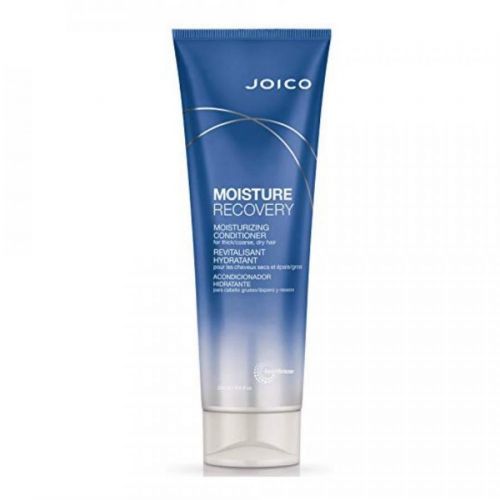 JOICO Joico MOISTURE RECOVERY CONDICIONER. 250ML