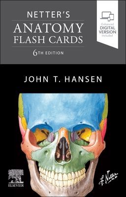 Netter's Anatomy Flash Cards (Hansen John T. (Professor of Neurobiology and Anatomy Associate Dean for Admissions University of Rochester School of Medicine and Dentistry Rochester New York))(Cards)