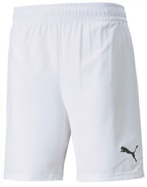 Šortky Puma teamFINAL Shorts