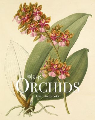 RHS Orchids (Brooks Charlotte)(Pevná vazba)