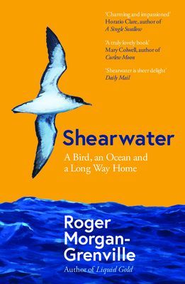 Shearwater - A Bird, an Ocean, and a Long Way Home (Morgan-Grenville Roger)(Paperback / softback)