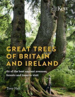 Great Trees of Britain and Ireland - Over 70 of the best ancient avenues, forests and trees to visit (Hall Tony)(Pevná vazba)